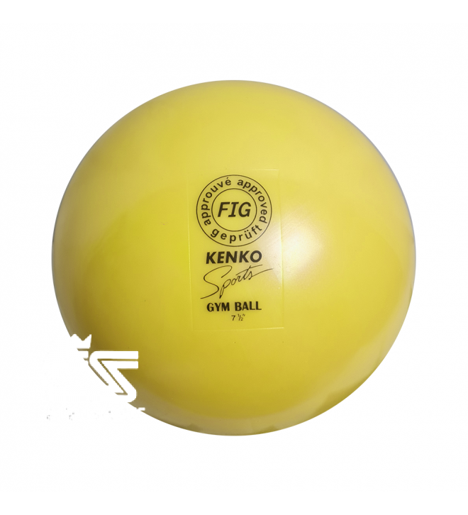 Kenko Gymnastic Ball